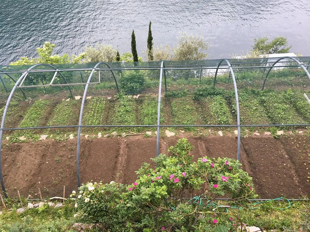 Σπίτι διακοπών Casa Vacanza Castagna Nesso Ιταλία